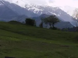 Qureli