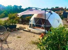 Glamp Rose