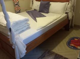 D's luxury lodge Moshono kiseriani、Nduruma Chiniのホテル