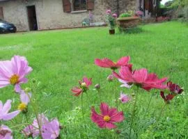 Rosso Papavero Home