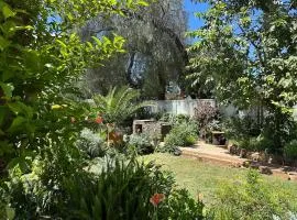 Peanut Cottage Bulawayo