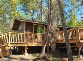 The Woods - Madrone Cabin
