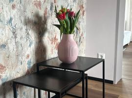 FeWo MaKi Schwarzwald Europa Park Rulantica Straßburg, hotel em Friesenheim