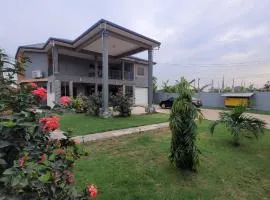 Stylish House with Generator - Tema Community 25