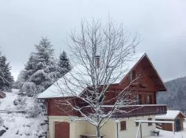 Chalet Ô Gustav, vue montagne, au calme, 8p