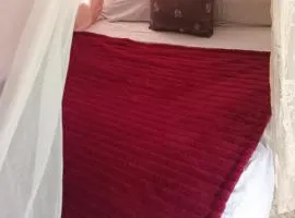 Tiny House lLttle Cabin