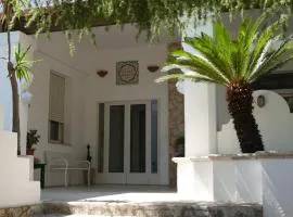 Affitta camere ALMA MATER
