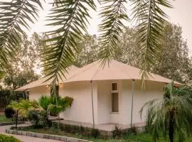 Clarks Safari Ranthambore