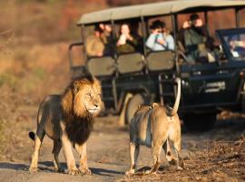The Springbok Lodge, lodge in Nambiti Game Reserve