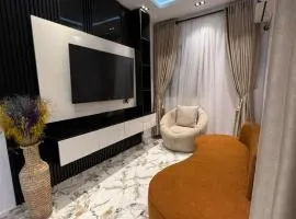Soft Life 2 bedroom apartment in Magodo Phase 2
