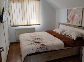 Clarice, pet-friendly hotel in Bîrlad