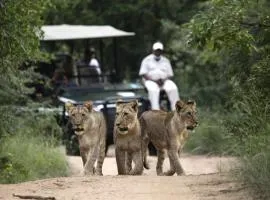 Karongwe Portfolio - Kuname Lodge