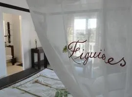 Grand Studio "Figuières" - Domaine Ciel et Mer