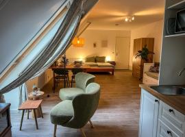 Studio lodge de Bosuil bij Bolmeer Lodges, khách sạn ở Zevenhuizen