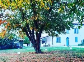 Armonie di Campagna Rooms & Breakfast di Valentini Sabina