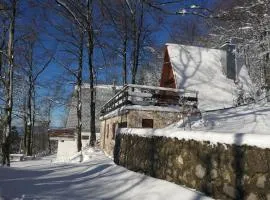 Planinska kuća BRDO