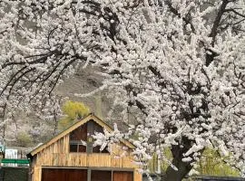 Ayash Resort