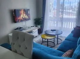 The Blue Apartment Sparki