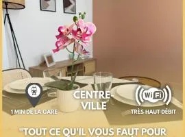 Luxueux logement proche gare et centre ville