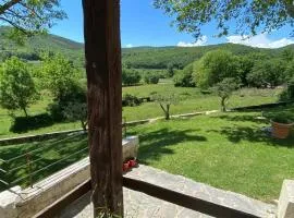 Gîte la vie est belle