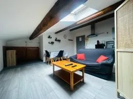 Grand studio proche centre