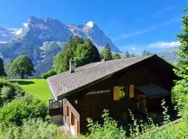 ABO - Boutique Apartment - Chalet Grindelwaldgletscher