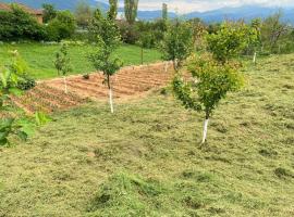 Campeggio2A, hotel v destinaci Dovolan