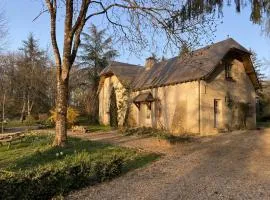 Gîte douillet en forêt d'Amboise, parc boisé 2.5 ha, cheminée, vélos, WiFi, jardin privé, animaux acceptés - FR-1-381-457