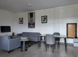 Spacious Apartment in Central Area