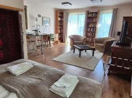 Sofia Premium Apartment free parking