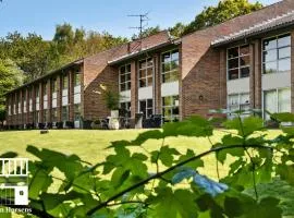 Flinten Horsens