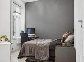 Elegant room in Central Oslo 1km from Oslo S Station