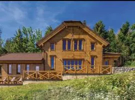 ŠUMSKA VILA Mrkopalj
