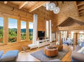 ŠUMSKA VILA Mrkopalj