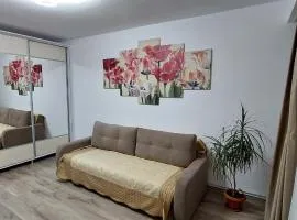 Targu Jiu Central Apartment - Free Parking & Self Check-In