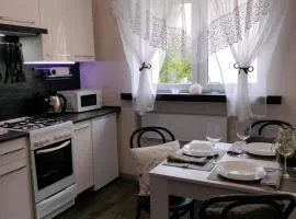 Apartament u Gosi