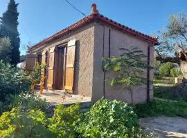 Esperides