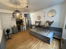 Annecy Old Town Lake Apartment