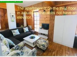Apartman Nancy Vlašić