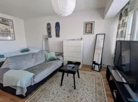 Basic 1 room apt in city center