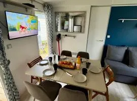 Joli Mobilhome 6P Camping Bois Dormant