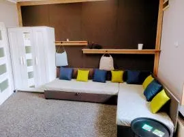 Apartament Na Reymonta