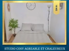 Le minimaliste