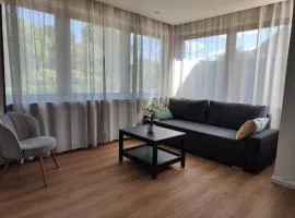 Parkblick Apartment Weißenthurm Nähe Koblenz