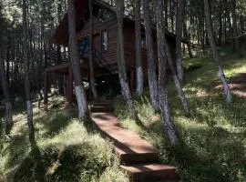 Sierra Azul Cabaña de Pareja