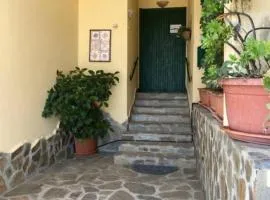 B&B Adora