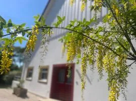 geräumige Wohnung mit Terrasse