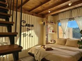 Cabin In The Air