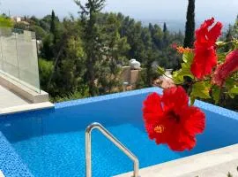 Villa Eirini Kamares Tala Luxury Sea View