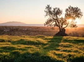 Agriturismo Podere L'Agave
